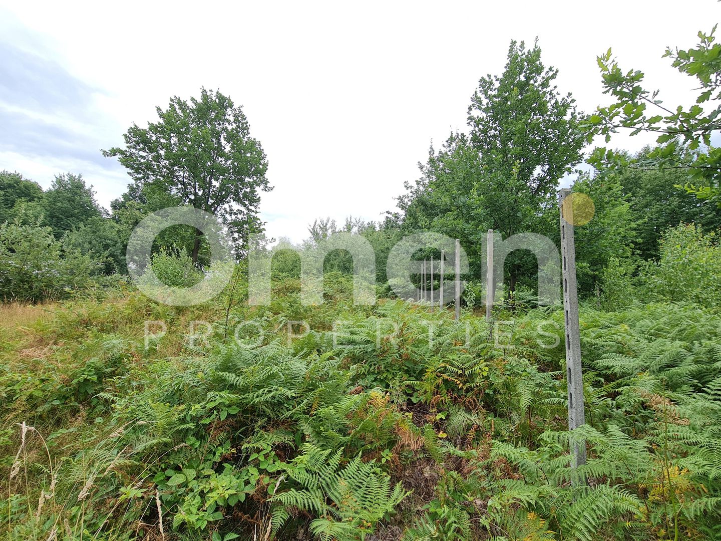 Teren intravilan de vânzare | 1.656 mp | 69.000 € | strada Murelor | Groși - Poză 5