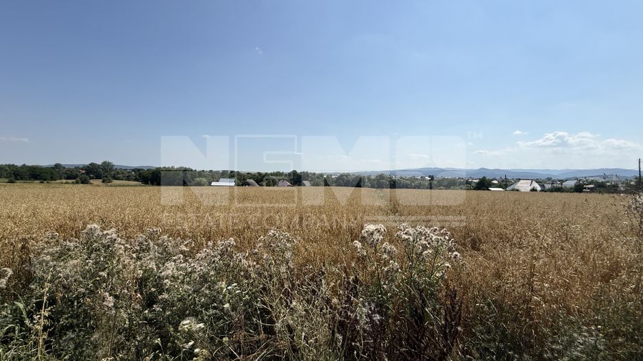 Teren intravilan de vânzare | Horodnic de Sus | 77 ari - Poză 3
