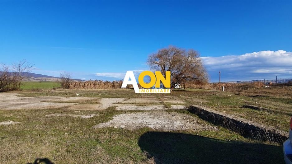 Teren industrial 44.200 mp, Vințu de Jos, Oportunitate de investitie - Poză 3