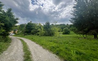 Teren Intravilan – 2.700 mp | Valea Avrigului | Zonă turistică deoseb - Poză 2