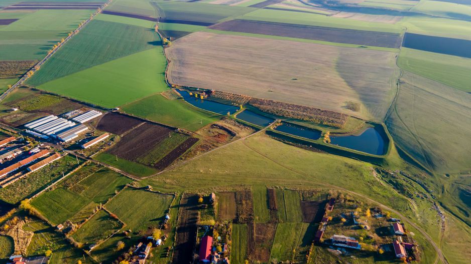 Teren agricol 130 ha Cruceni - Poză 3
