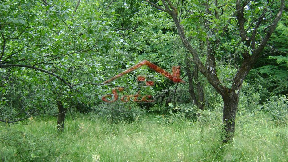 Teren de vanzare Cornu 3074 mp - Poză 9