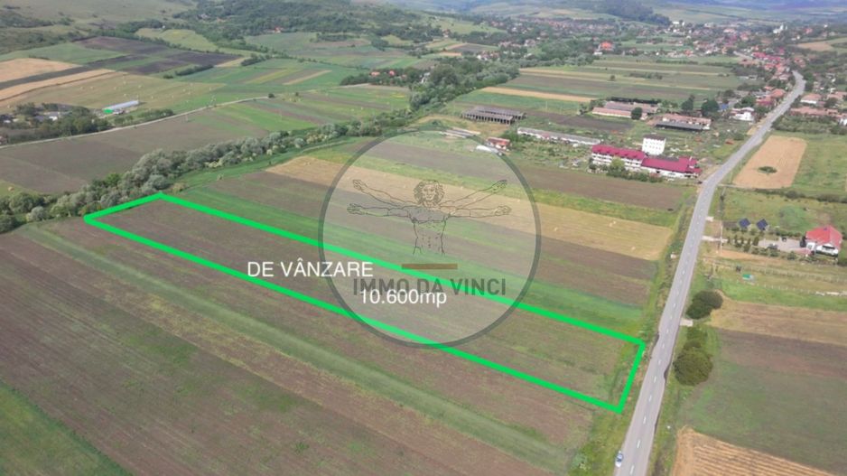 Teren 10.670 mp | Borșa Cluj | Front 38m | Utilități - Poză 1