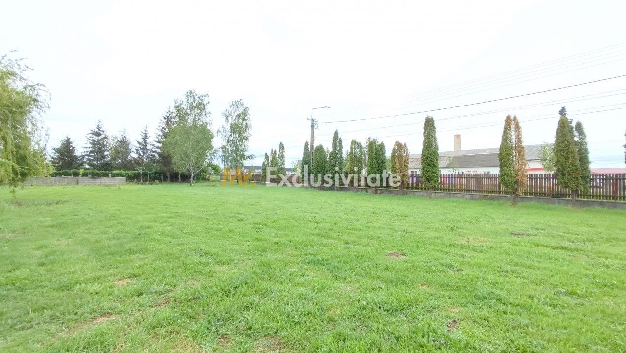 Inchiriere Spații de Birouri - Str. C. A. Române - Carei - Comision 0% chiriaș - Poză 23