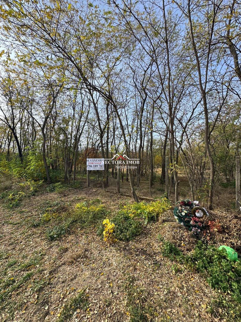 NECTORA IMOB-Teren cu livada matura+Anexa racordata la trifazic,9162mp - Poză 8