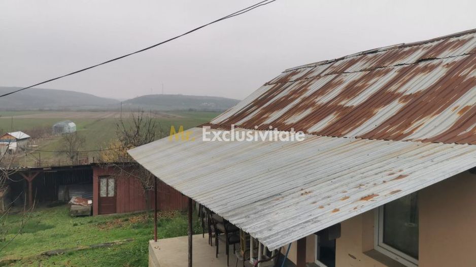 De vanzare casa in Argetoaia cu teren 7.000 mp - Poză 2