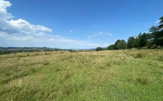 Teren de vanzare in  Tohanu Nou-Sohodol 6200 mp - Poză 6