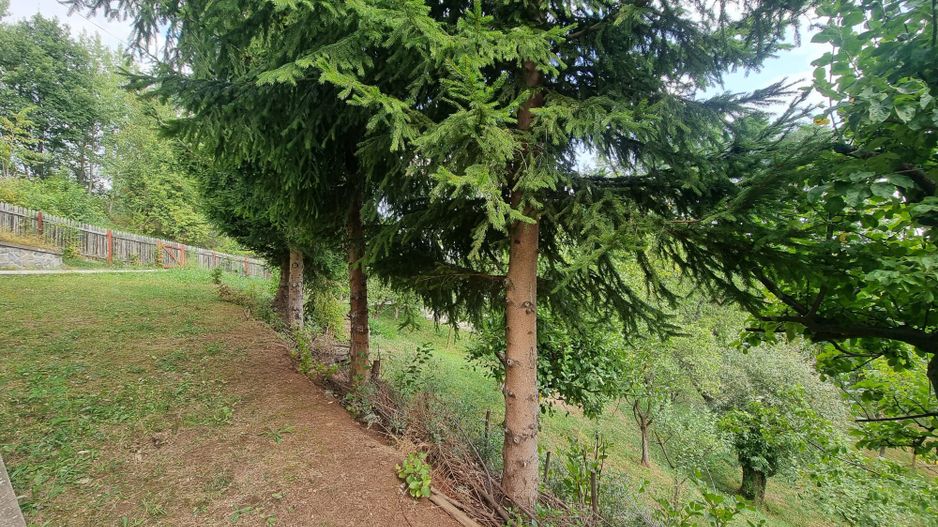 Casa de vacanta in Nistoresti - Poză 5