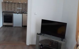 Apartament la casa 1 camera | 40 MPU | Parter | Terezian - Poză 2