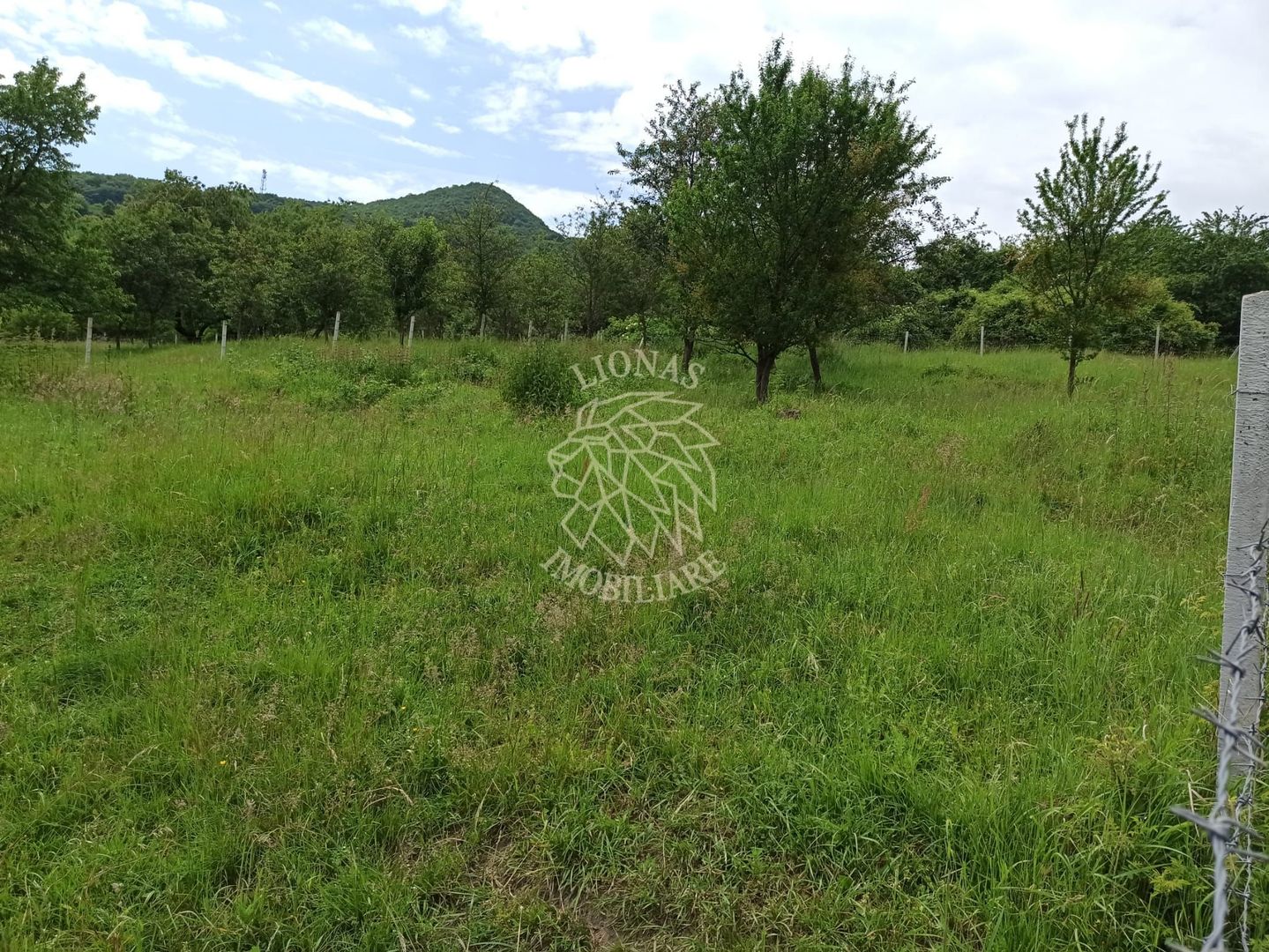 Teren 1000mp+cota drum-ideal cabana/investitie-panorama-Valea Rusului - Poză 5
