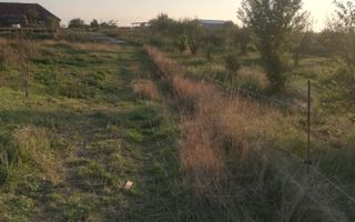 Ferma de vânzare - Poză 7