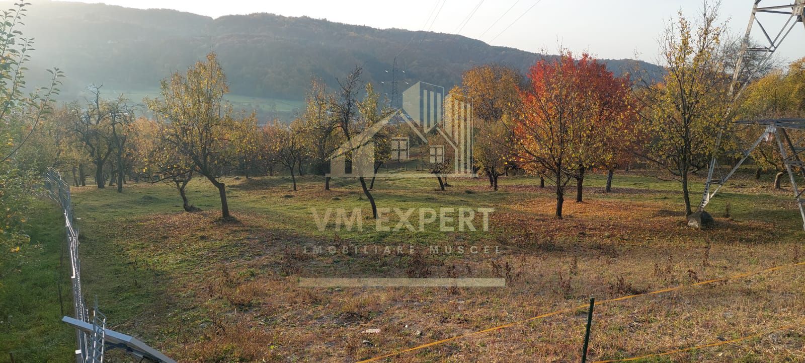 TEREN INTRAVILAN 10385 MP, MARCUS, CAMPULUNG - Poză 1