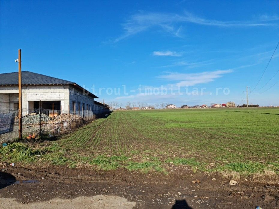 Vânzare Teren Intravilan pentru Casă/Vilă sau Alte Proiecte - Poză 1