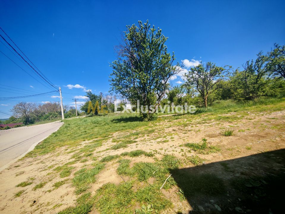 Teren intravilan 2.000 mp in Mioveni – Ideal pentru casa sau investitie! - Poză 3