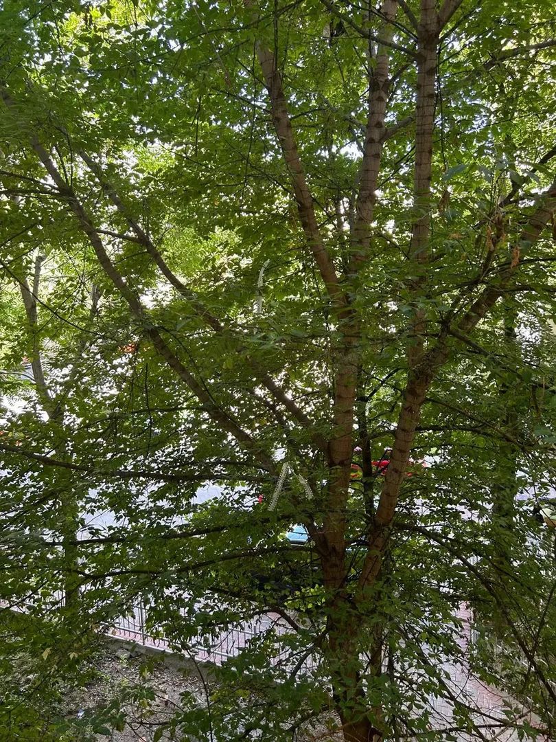 COMISION 0 Apartament 3 camere Biblioteca Nationala T572 - Poză 10