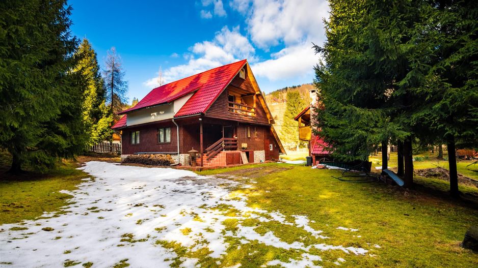 Cabane cu 10 camere Arieseni - Poză 12