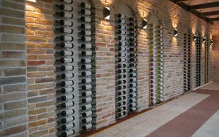 Complex Vitivinicol de Referință în Sudul Moldovei | 206 ha teren agricol | Investiție strategică - Poză 19
