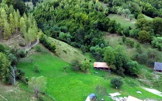 Teren de investiție în Moieciu, lângă Castelul Bran – 11.381 mp, vedere Bucegi - Poză 15