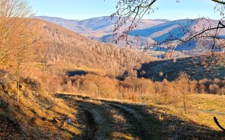 2,2 Ha TEREN INTRAVILAN PANORAMIC, in Muntii Apuseni NEGRENI – CLUJ - Poză 9