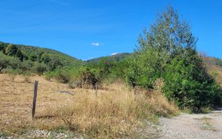 TEREN 5000 MP I SĂLIȘTE I PARCELABIL - Poză 9