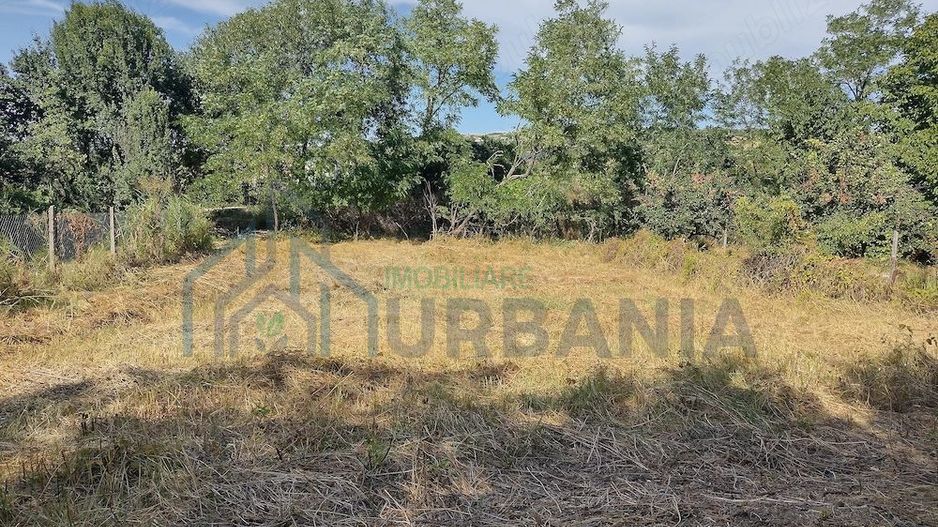Teren intravilan 482 mp în Chicerea, comuna Tomești, ideal pentru construcție casă - Poză 2