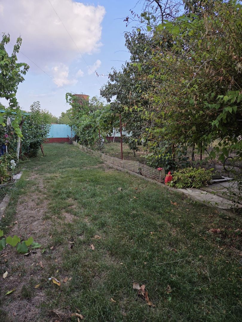 Casă și teren 2177 mp Ortisoara -28ml front-comision 0 - Poză 12