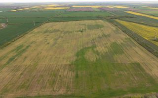 Teren investițional strategic 44.700 mp Arad Vest - Poză 7