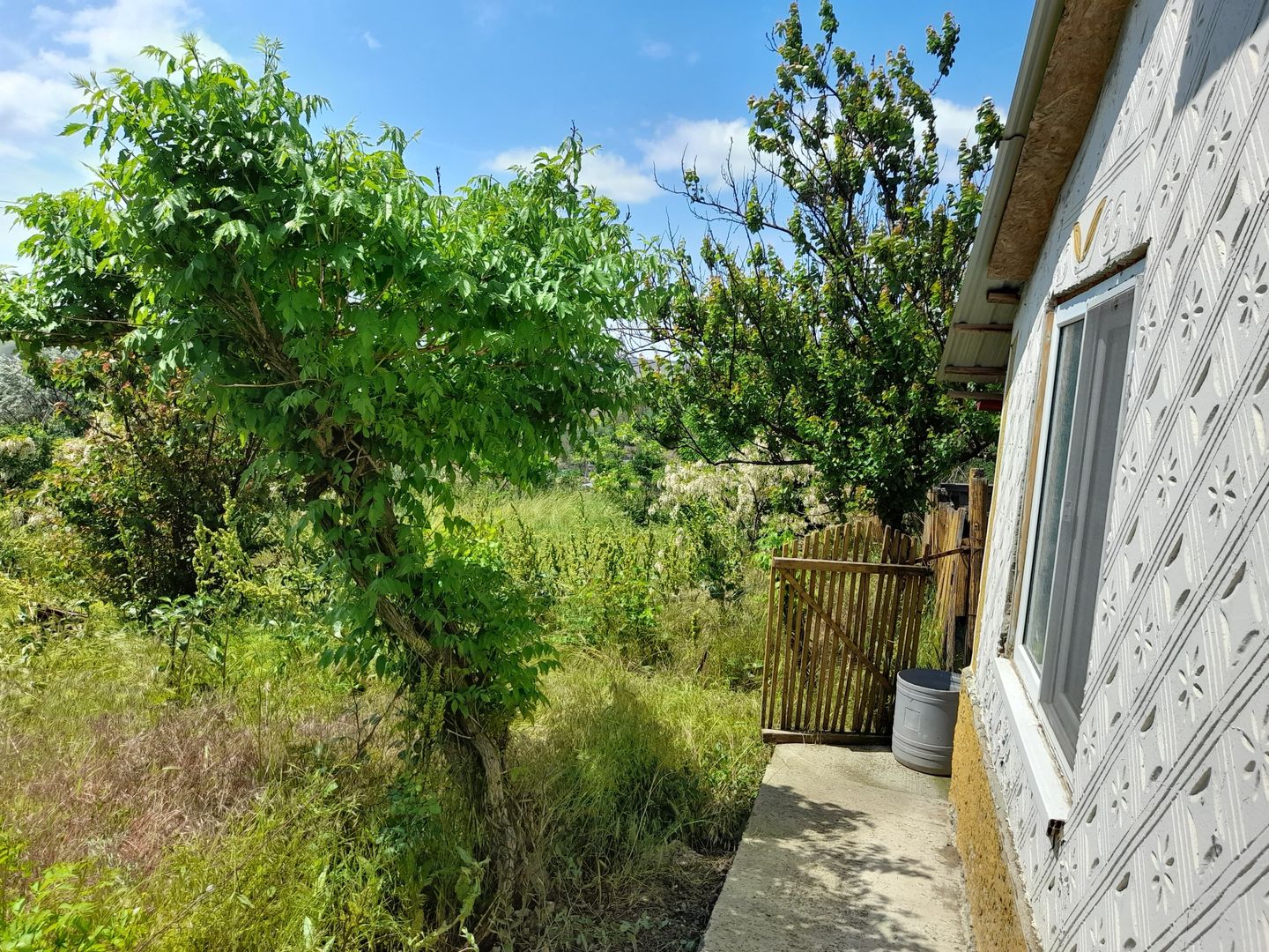 Casă cu teren de 1.470 mp de vânzare – Fântânele, Scânteiești - Poză 45