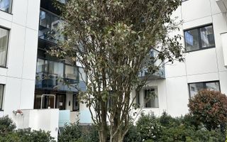 Cortina North || Studio || Amenajat premium - Poză 8