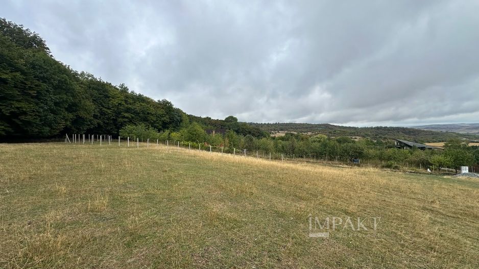 Teren langa Padure | Panorama Superba | Proiect Autorizat | Corusu - Poză 5