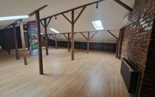 Spatiu comercial in vila, etj. 1 + mansarda, 220 mp, Piata Amzei - Poză 17
