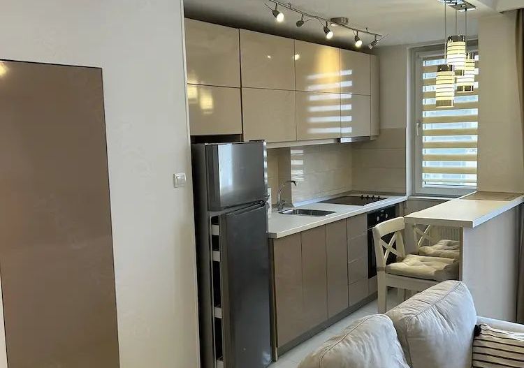 Apartament superb 2 camere, Bălcescu, mobilat complet, balcon, fara risc seismic - Poză 2