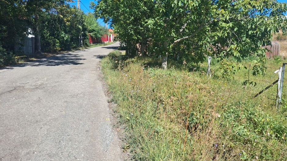 Teren de vanzare in zona Borhanci - Colonia Sopor - Poză 4
