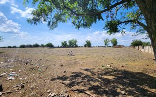 Teren intravilan -Jimbolia zona Kikindei - Poză 28