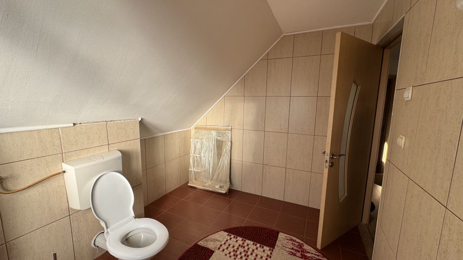 Individuala P+M Becicherecu Mic,4 Camere,Piscina exterioara,Teren Generos - Poză 25