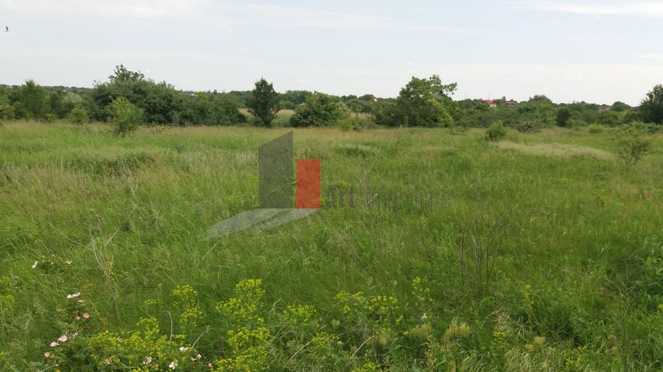 Teren cu iesire la lac - Poză 15