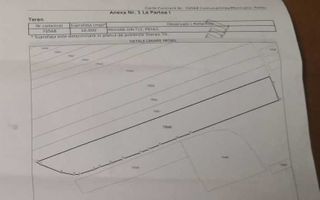 Vând teren Tăutești, Rediu: 10.000 mp extravilan + 5.000 mp intravilan - Poză 2