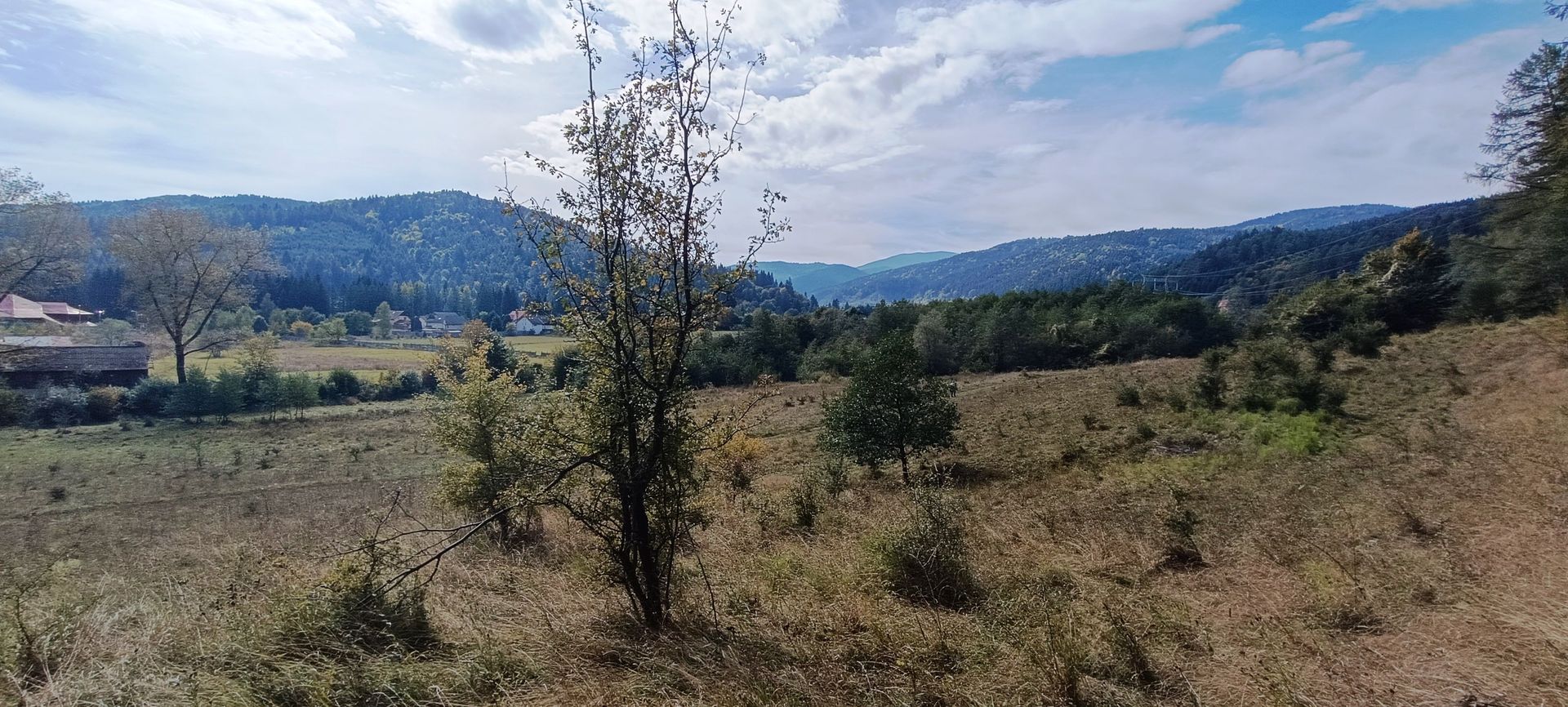 teren in zona Bradet-Sacele - Poză 5