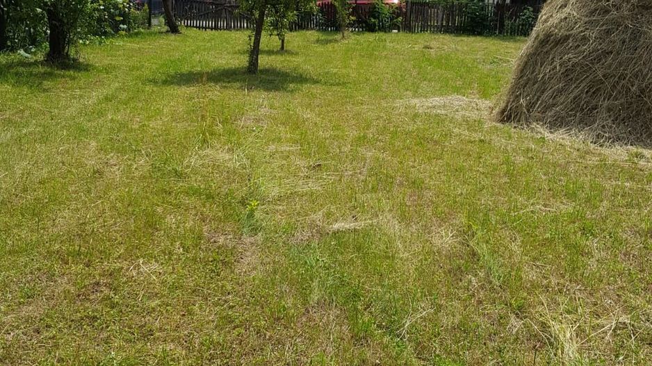 Teren intravilan împrejmuit 2331 mp la strada, toate utilitățile! - Poză 3