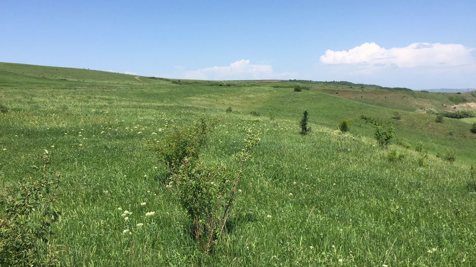 Vanzare teren pentru casa/duplex cu PUZ, la 6 min de Cluj-Napoca - Poză 6
