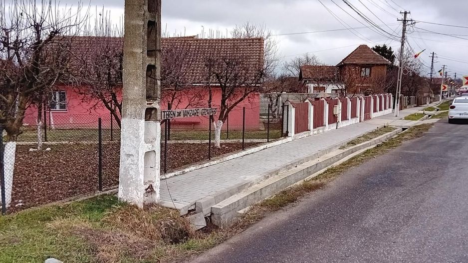 OFERTĂ in Băcia, Hunedoara ! Proprietate 2 case + Cabană + Livadă - Poză 20