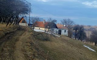 Oaza de liniste si frumusete, reconectare cu natura, 16.000 mp, Poiana Marului - Poză 2