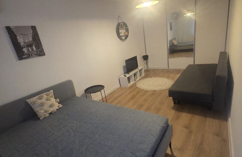 Garsoniera Floreasca | Tei - Poză 2