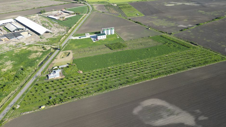 Livadă de nuci și pruni 2.4ha în Variașu Mare - Poză 6