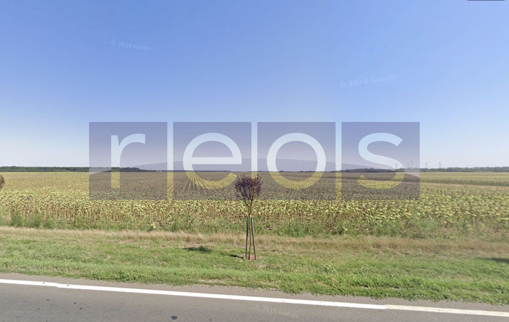 | OPORTUNITATE | DE VANZARE TEREN BRANESTI 41.317 mp DESCHIDERE 85 m - Poză 2