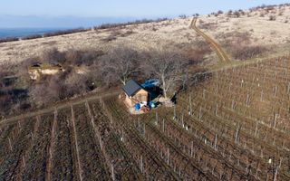 Vita-de-vie Premium  teren de 6800 mp în Covăsinț - Poză 7