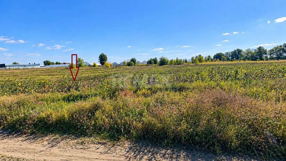 TEREN PENTRU INVESTIȚIE – 17 ARI | CHETROSU, ANENII NOI |  DESTINAȚIE: CONSTRUCȚII - Poză 6