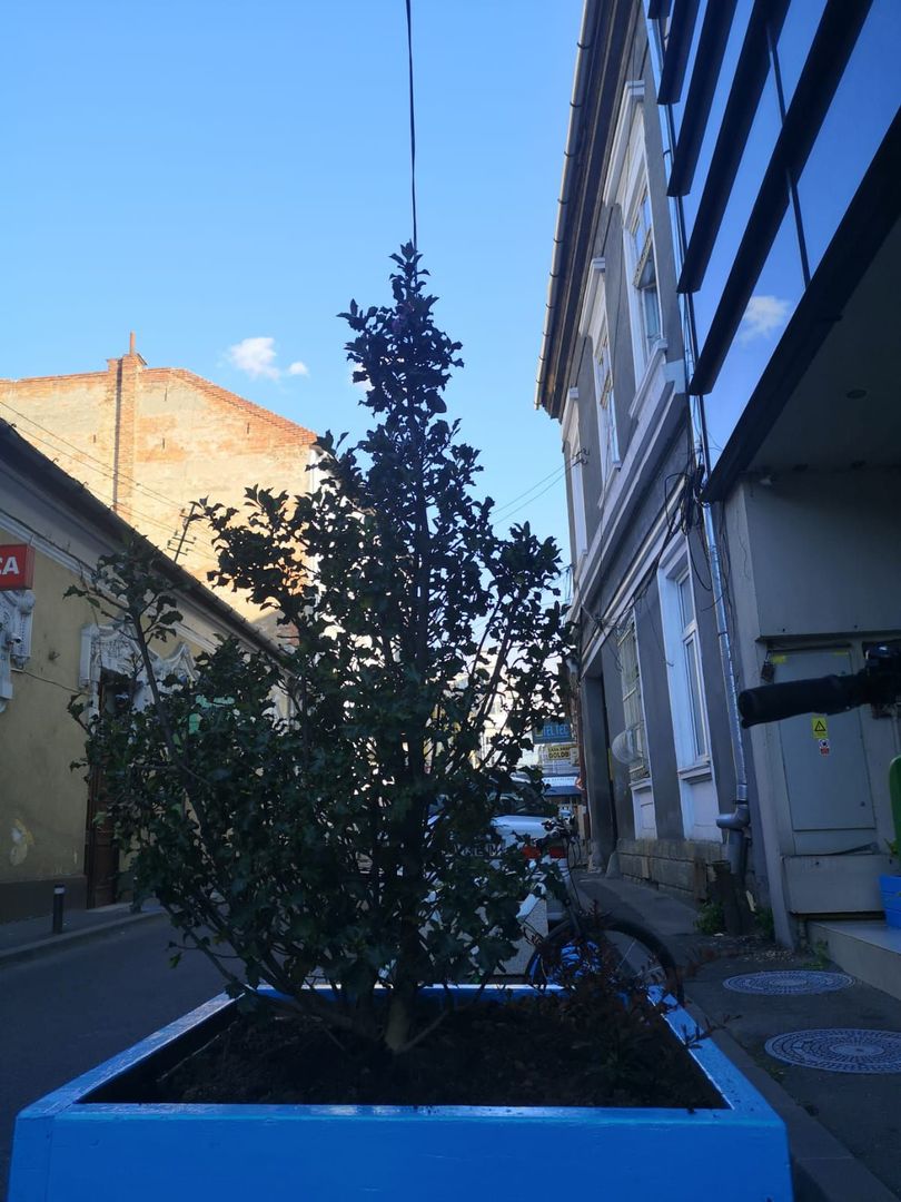 Cladire ultramoderna de birouri I 1.350mp I Ultracentral I COMISION 0% - Poză 39