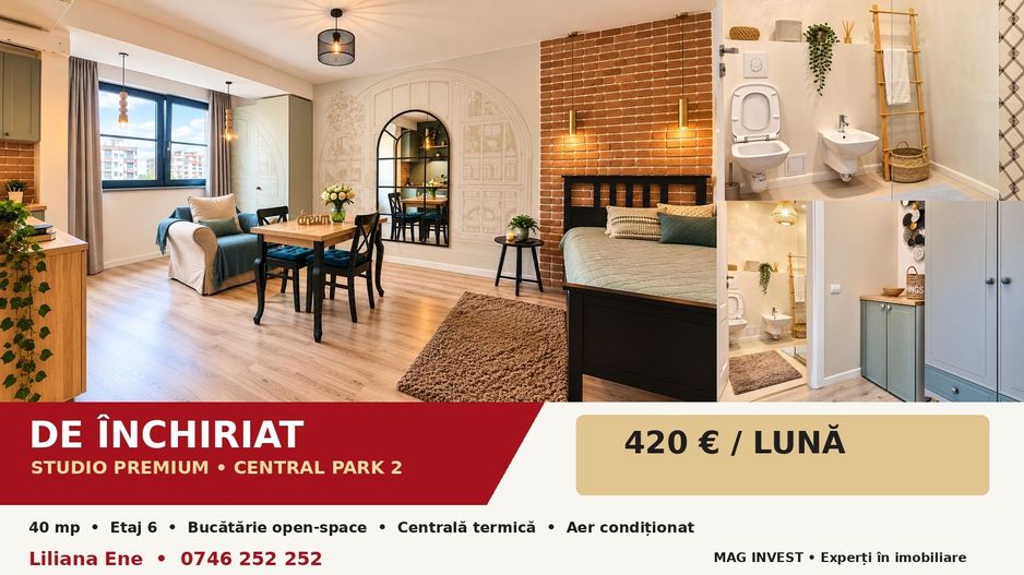 Studio premium de inchiriat - Central Park 2 - 40 mp, etaj 6 - Poză 3