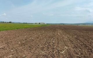 Teren | Extravilan | Oportunitate Investiție | 10 000 MP | Bradu - Poză 1